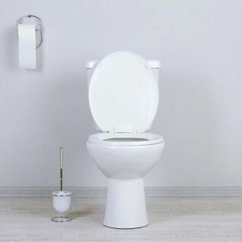 Toilet Repair and Installation